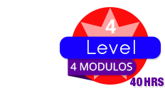 level-4_V4